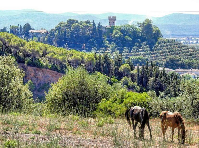 B&B Villa Il Poggetto Venturina Terme Exterior photo